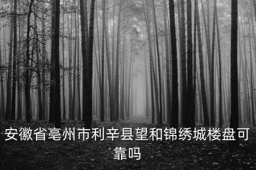 安徽省亳州市利辛縣望和錦繡城樓盤可靠嗎