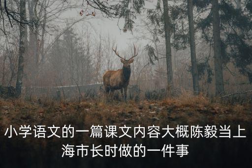 小學(xué)語文的一篇課文內(nèi)容大概陳毅當(dāng)上海市長時做的一件事