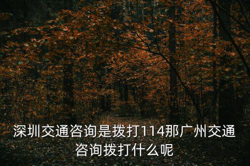 深圳交通咨詢是撥打114那廣州交通咨詢撥打什么呢