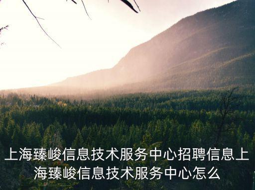 上海臻峻信息技術服務中心招聘信息上海臻峻信息技術服務中心怎么