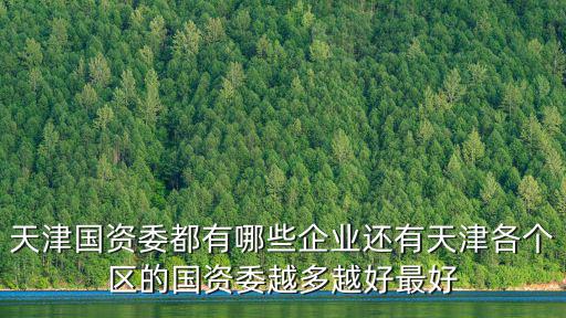 天津國資委都有哪些企業還有天津各個區的國資委越多越好最好