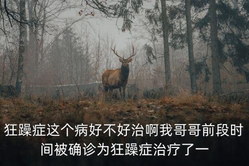 狂躁癥這個病好不好治啊我哥哥前段時間被確診為狂躁癥治療了一