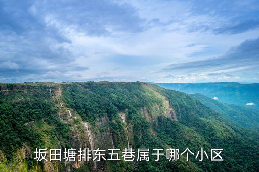 深圳坂田街道荔園新村，坂田塘排東五巷屬于哪個小區(qū)