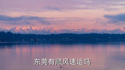 東莞有順風速運嗎