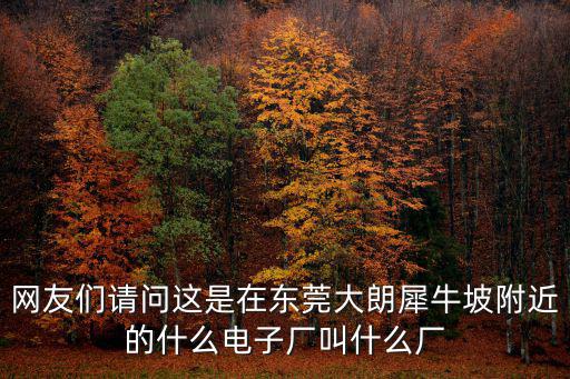 網(wǎng)友們請問這是在東莞大朗犀牛坡附近的什么電子廠叫什么廠