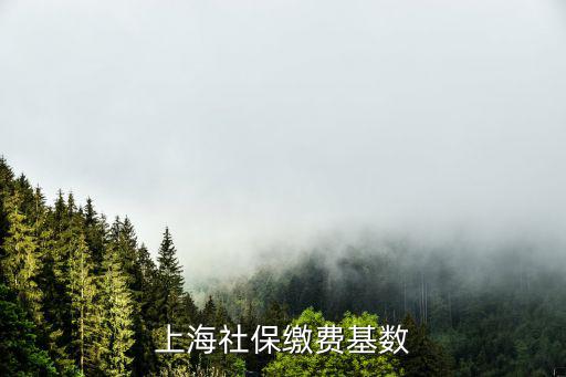 上海社保繳費基數(shù)