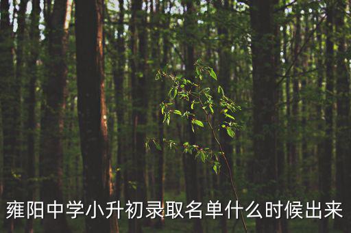 天津市雍陽中學(xué)招生考試時(shí)間，09年雍陽初中報(bào)考時(shí)間是什么時(shí)候