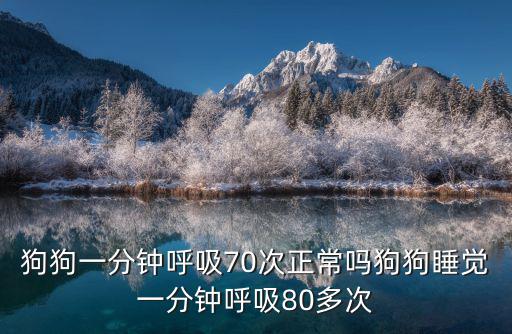 狗狗一分鐘呼吸70次正常嗎狗狗睡覺一分鐘呼吸80多次