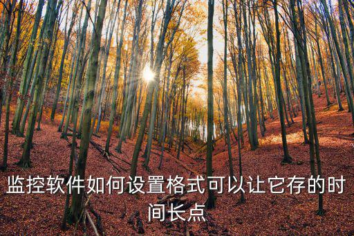 模擬監控怎么改格式，監控視屏的錄像怎么改成平常的格式然后刻盤了要詳細一點的