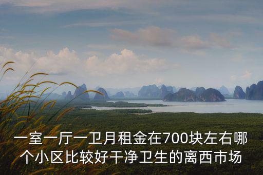一室一廳一衛(wèi)月租金在700塊左右哪個小區(qū)比較好干凈衛(wèi)生的離西市場