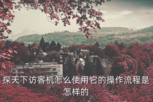 探天下訪客機(jī)怎么使用它的操作流程是怎樣的