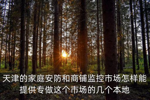 天津市安保監(jiān)控，天津安防產(chǎn)品監(jiān)控防盜報(bào)警對(duì)講機(jī)主要集中哪里
