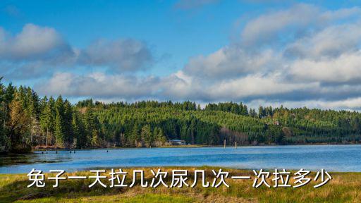 兔子一天拉幾次尿幾次一次拉多少
