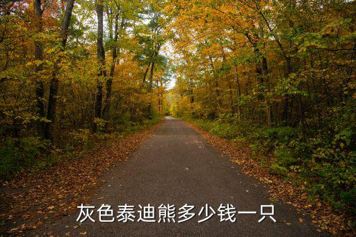 灰色泰迪熊多少錢一只