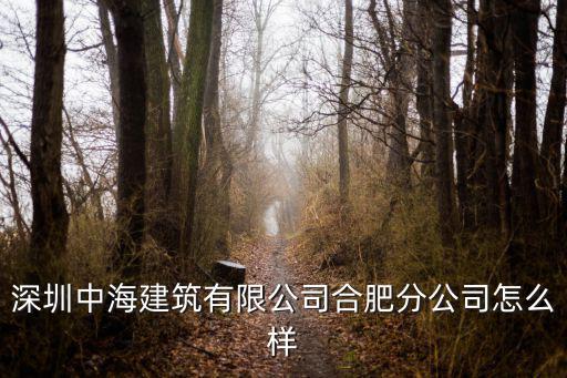 深圳中海建筑有限公司合肥分公司怎么樣