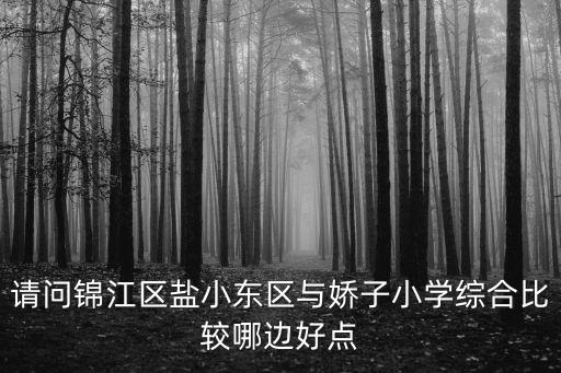 成都市嬌子小學(xué)在哪里，成都市錦江區(qū)嬌子小學(xué)怎么樣