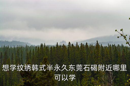 東莞石碣桔洲學藝術，東莞石碣有哪些藝術學?；蛘呒夹g學校