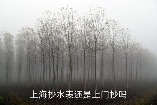 上海抄水表還是上門抄嗎