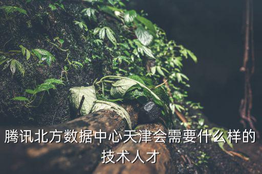 騰訊北方數據中心天津會需要什么樣的技術人才