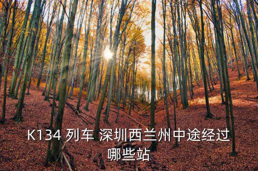 K134 列車 深圳西蘭州中途經過哪些站