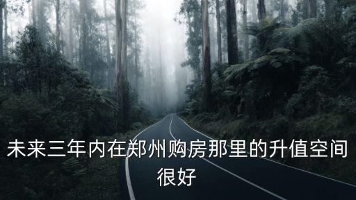 未來三年內在鄭州購房那里的升值空間很好