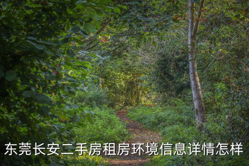 東莞長安二手房租房環境信息詳情怎樣
