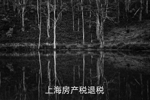 上海房產稅退稅