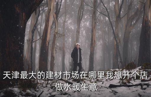 天津最大的建材市場在哪里我想開個店 做水暖生意