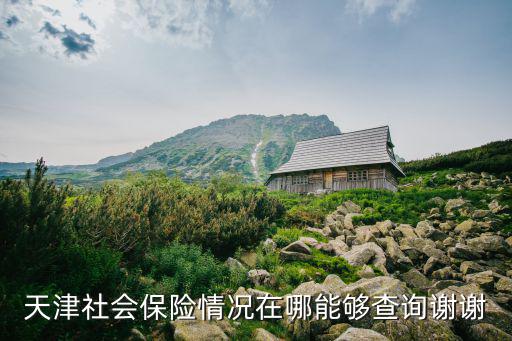 天津社會保險情況在哪能夠查詢謝謝