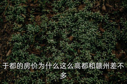 于都的房價為什么這么高都和贛州差不多