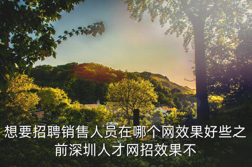 想要招聘銷售人員在哪個網(wǎng)效果好些之前深圳人才網(wǎng)招效果不