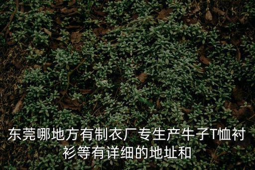 東莞市貝蕊爾服飾有限公司，東莞橫瀝有個很大的美資制衣廠叫啥