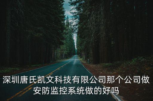 深圳唐氏凱文科技有限公司那個公司做安防監(jiān)控系統(tǒng)做的好嗎