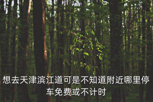 想去天津?yàn)I江道可是不知道附近哪里停車免費(fèi)或不計時