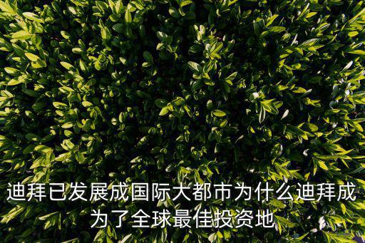 迪拜已發展成國際大都市為什么迪拜成為了全球最佳投資地