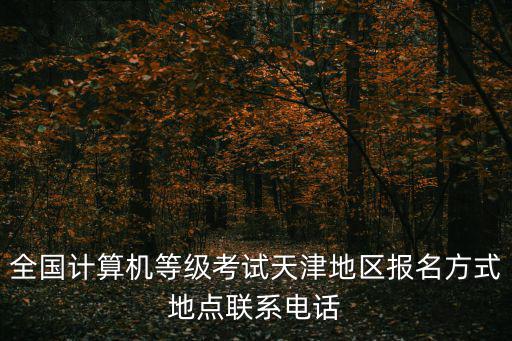 全國計算機等級考試天津地區報名方式地點聯系電話