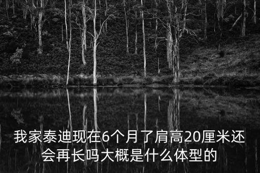 我家泰迪現在6個月了肩高20厘米還會再長嗎大概是什么體型的