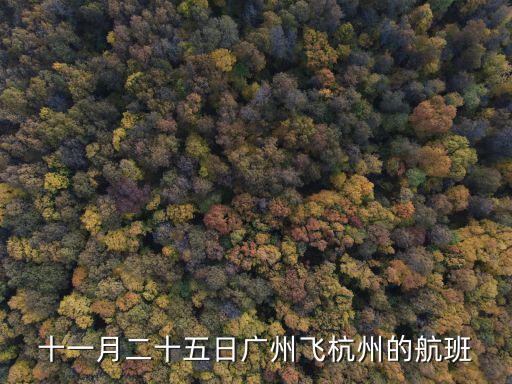 十一月二十五日廣州飛杭州的航班