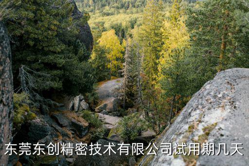 東莞東創精密技術有限公司試用期幾天