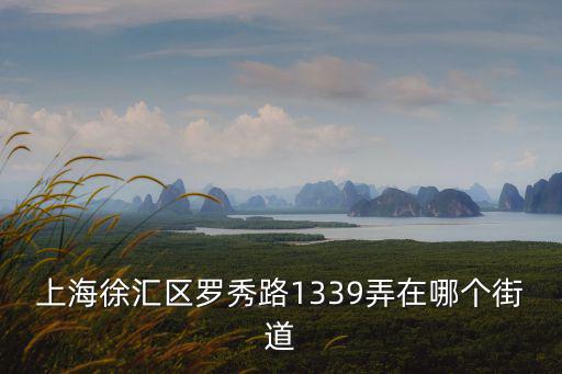 上海徐匯區(qū)羅秀路1339弄在哪個(gè)街道
