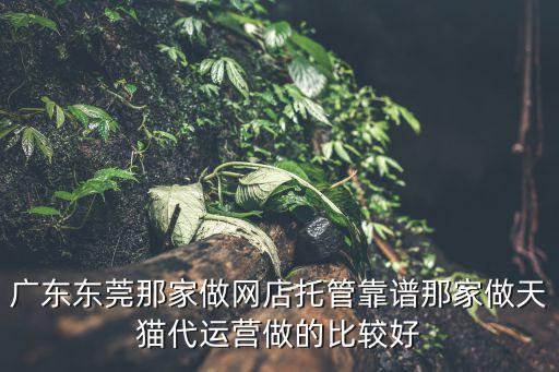 東莞市美勝電子商務有限公司，聽說莆田也有一家公司受邀去參加這次2012年的東莞鞋展