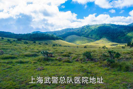 上海武警總隊醫院地址
