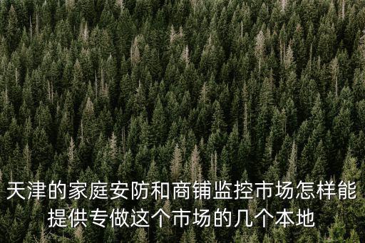 天津的家庭安防和商鋪監控市場怎樣能提供專做這個市場的幾個本地