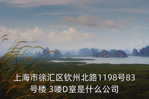 上海市徐匯區(qū)欽州北路1198號83號樓 3嘍D室是什么公司