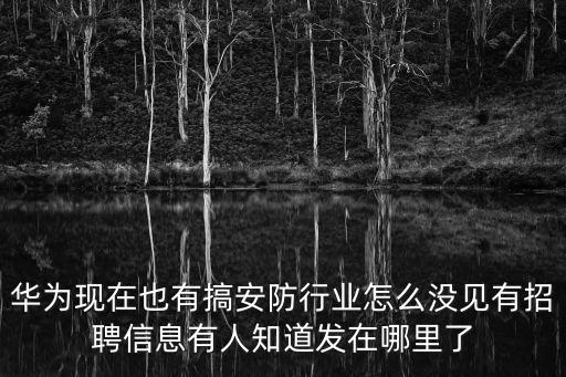 華為現在也有搞安防行業怎么沒見有招聘信息有人知道發在哪里了