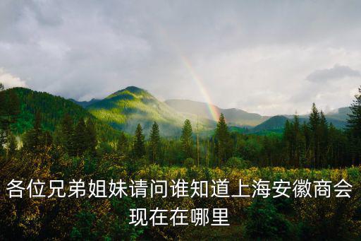 各位兄弟姐妹請(qǐng)問(wèn)誰(shuí)知道上海安徽商會(huì)現(xiàn)在在哪里