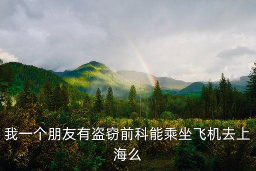 我一個朋友有盜竊前科能乘坐飛機去上海么