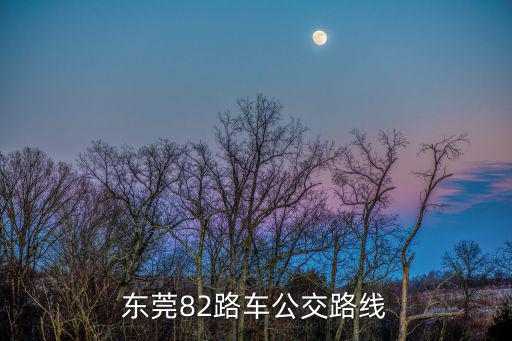 東莞82路車公交路線