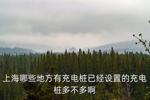 上海市充電樁gongs，北汽新能源EV系列  上海市哪些地方有快充樁