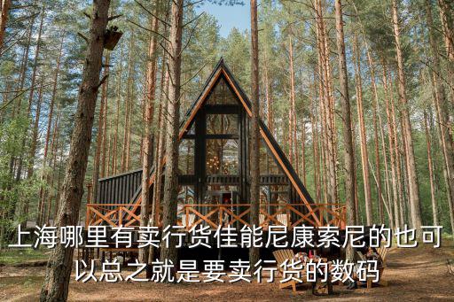 上海哪里有賣行貨佳能尼康索尼的也可以總之就是要賣行貨的數碼